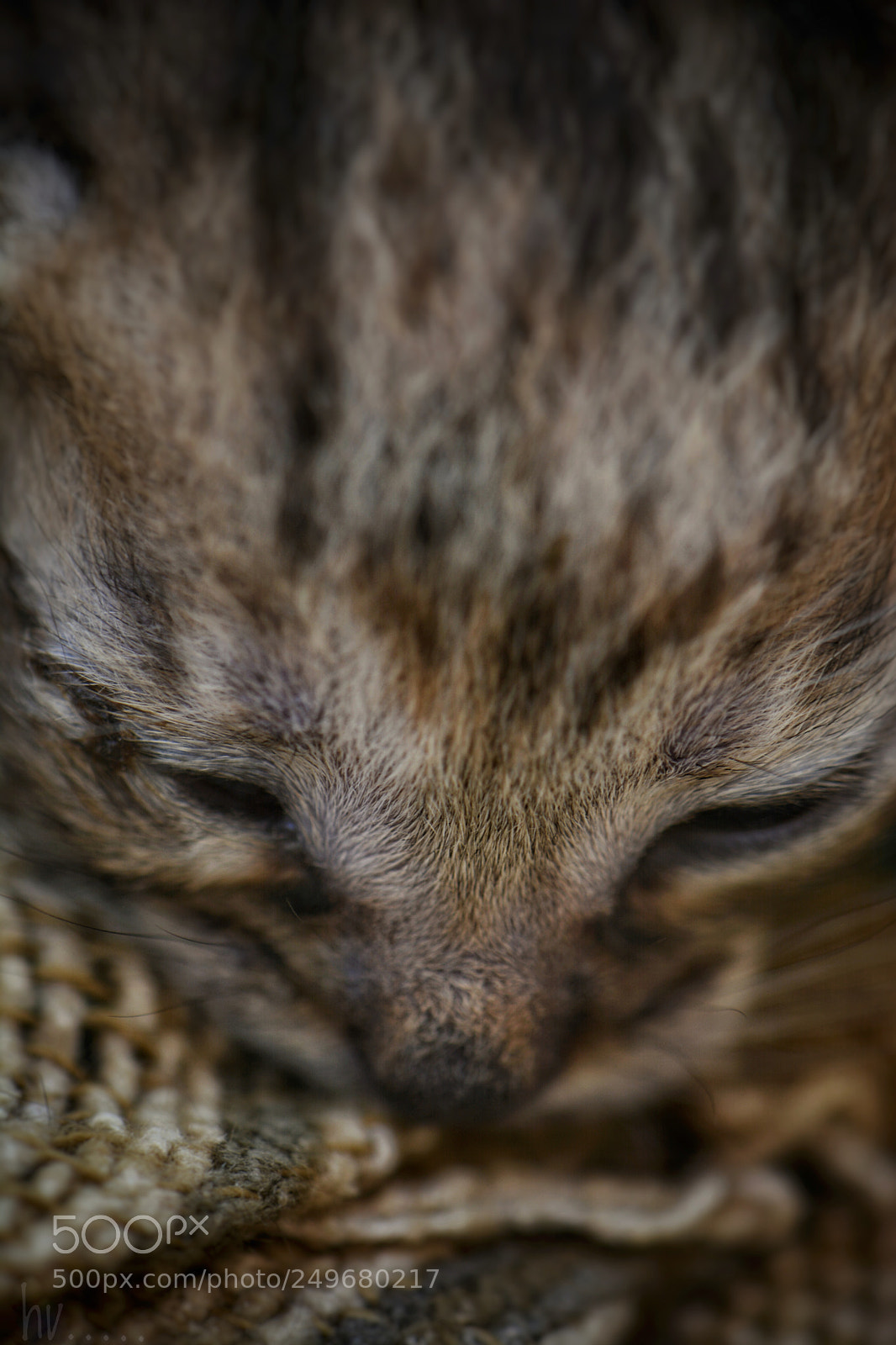 Nikon D7100 sample photo. New born photography