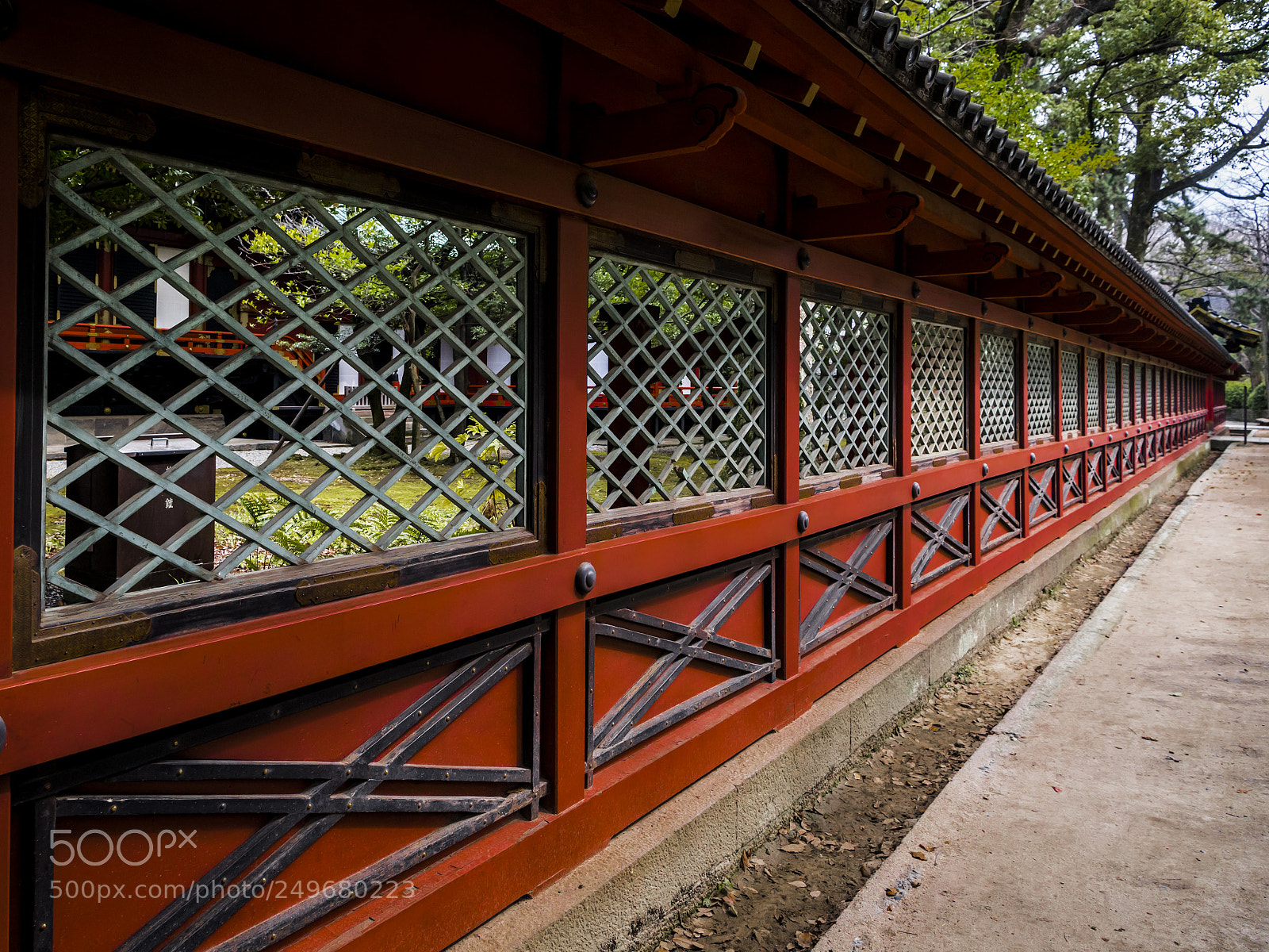 Nikon D5 sample photo. Nezu shrine photography