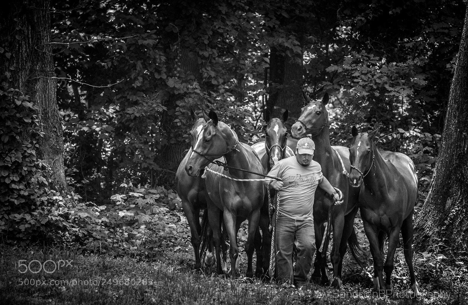 Canon EOS 60D sample photo. Chester county hospital polo photography