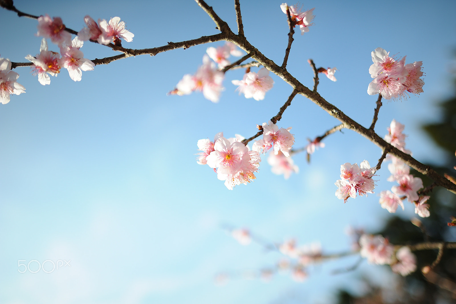 Nikon AF-S Nikkor 24mm F1.4G ED sample photo. D7h_0945 photography