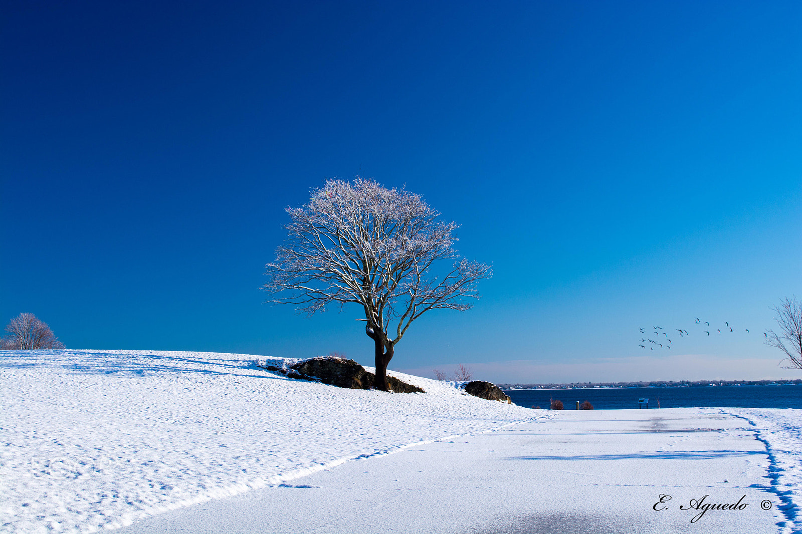 Nikon D5200 sample photo. Dormancy photography