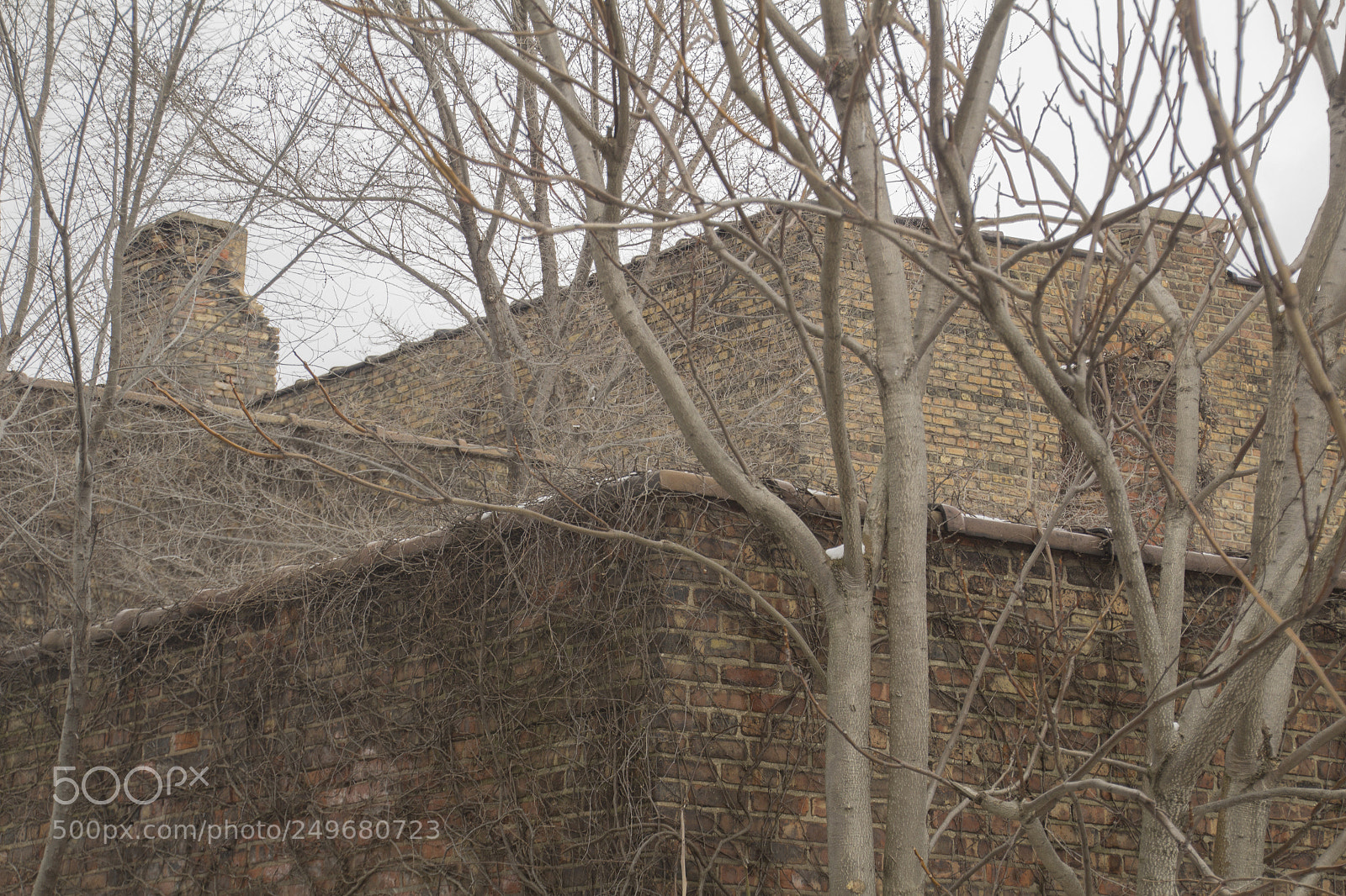 Canon EOS 1200D (EOS Rebel T5 / EOS Kiss X70 / EOS Hi) sample photo. Abandoned alley 2. photography