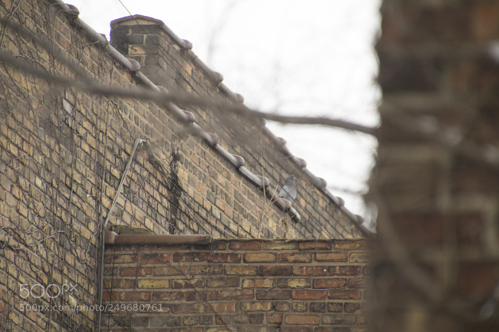 Canon EOS 1200D (EOS Rebel T5 / EOS Kiss X70 / EOS Hi) sample photo. Abandoned alley. photography