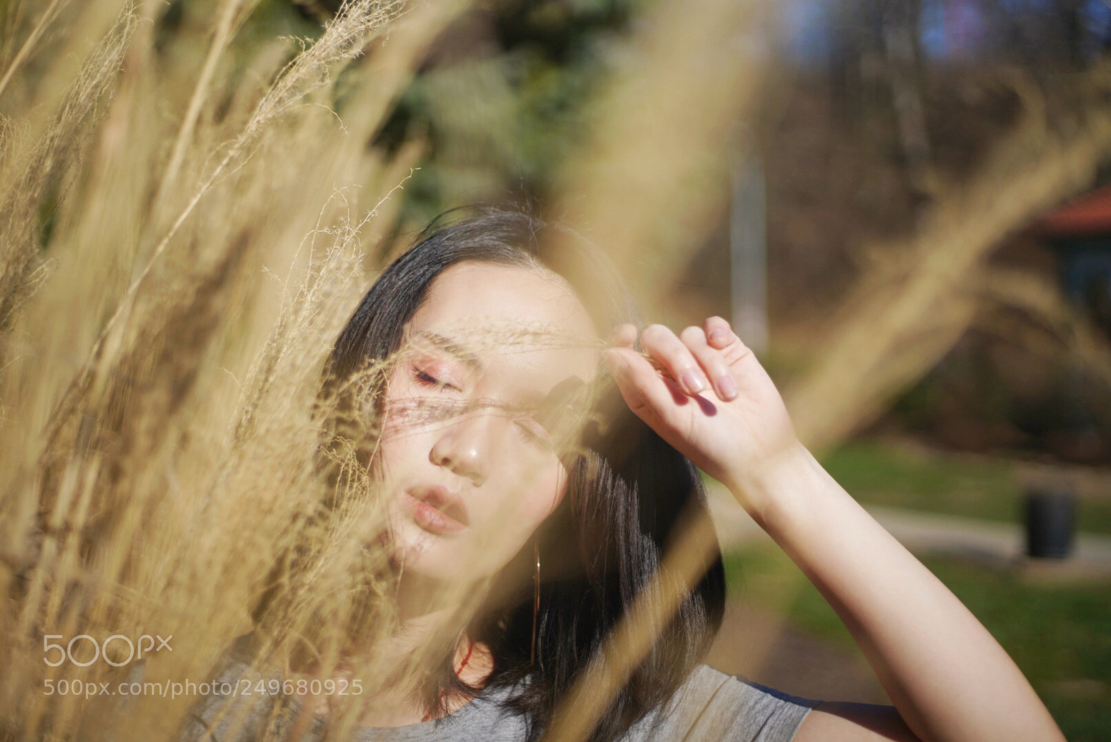 Sony a7R III sample photo. Alial photography