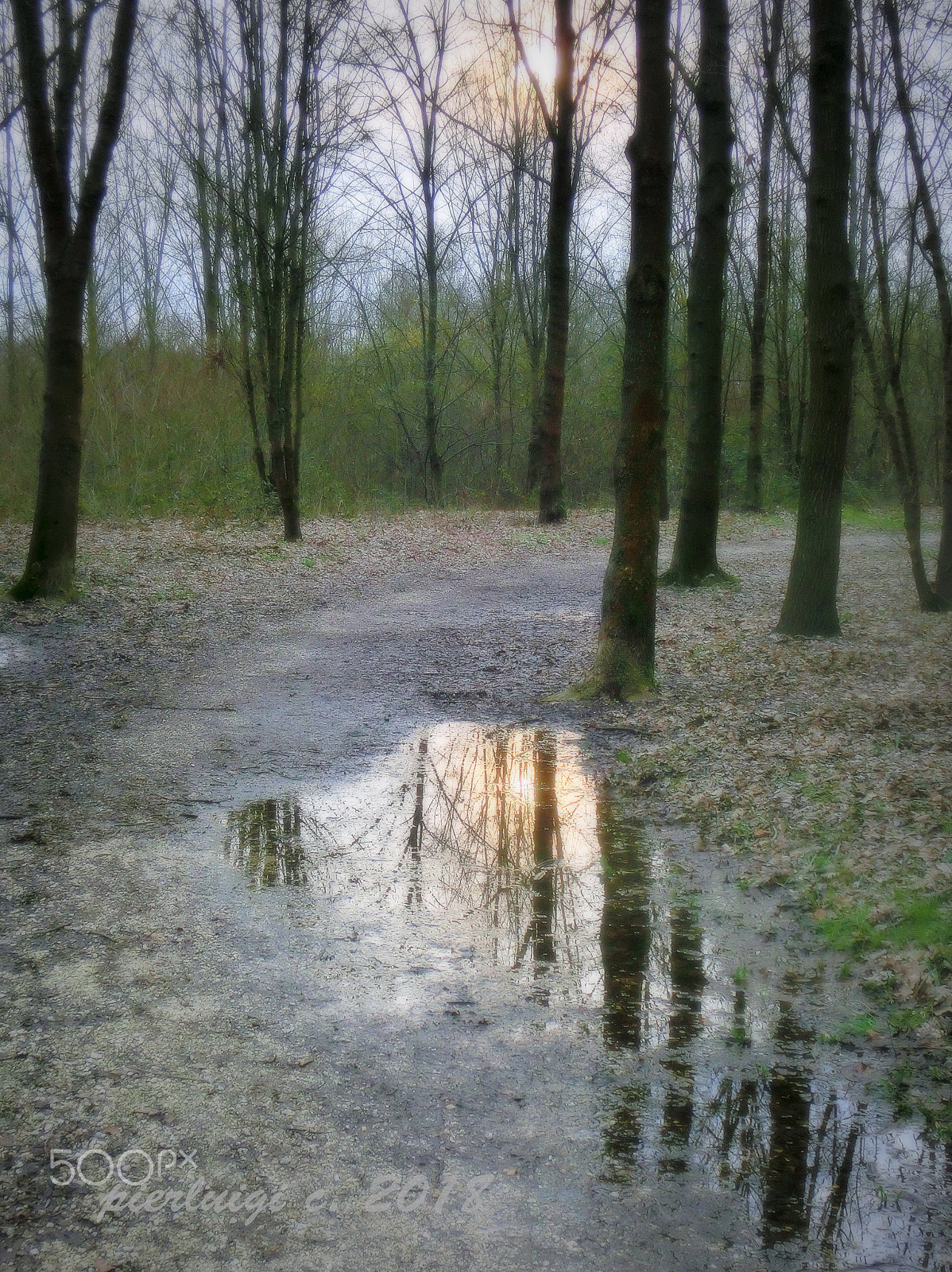 CASIO EX-ZR200 sample photo. 02 - bosco ottolenghi (bosco di mestre) photography