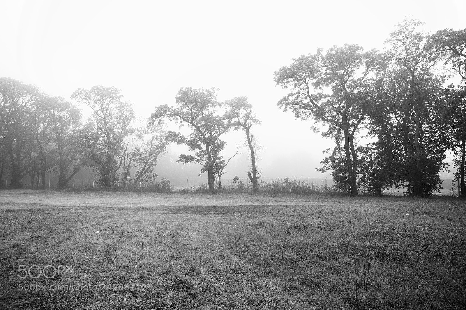 Fujifilm X-E2 sample photo. Mañana brumosa photography