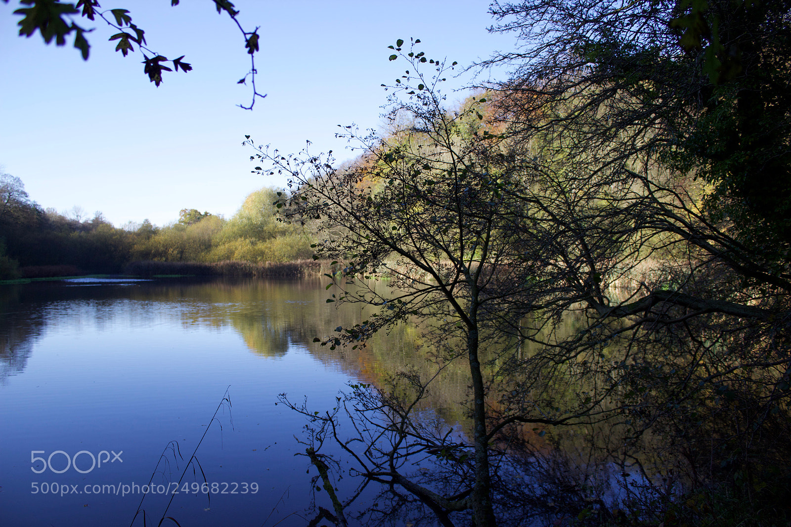 Canon EOS 600D (Rebel EOS T3i / EOS Kiss X5) sample photo. Reflection at roche abbey photography
