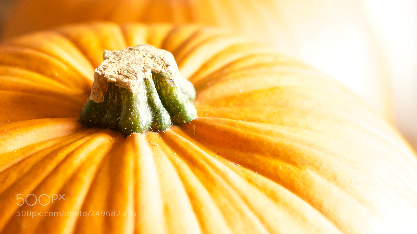 Canon EOS 600D (Rebel EOS T3i / EOS Kiss X5) sample photo. From halloween 2017 photography