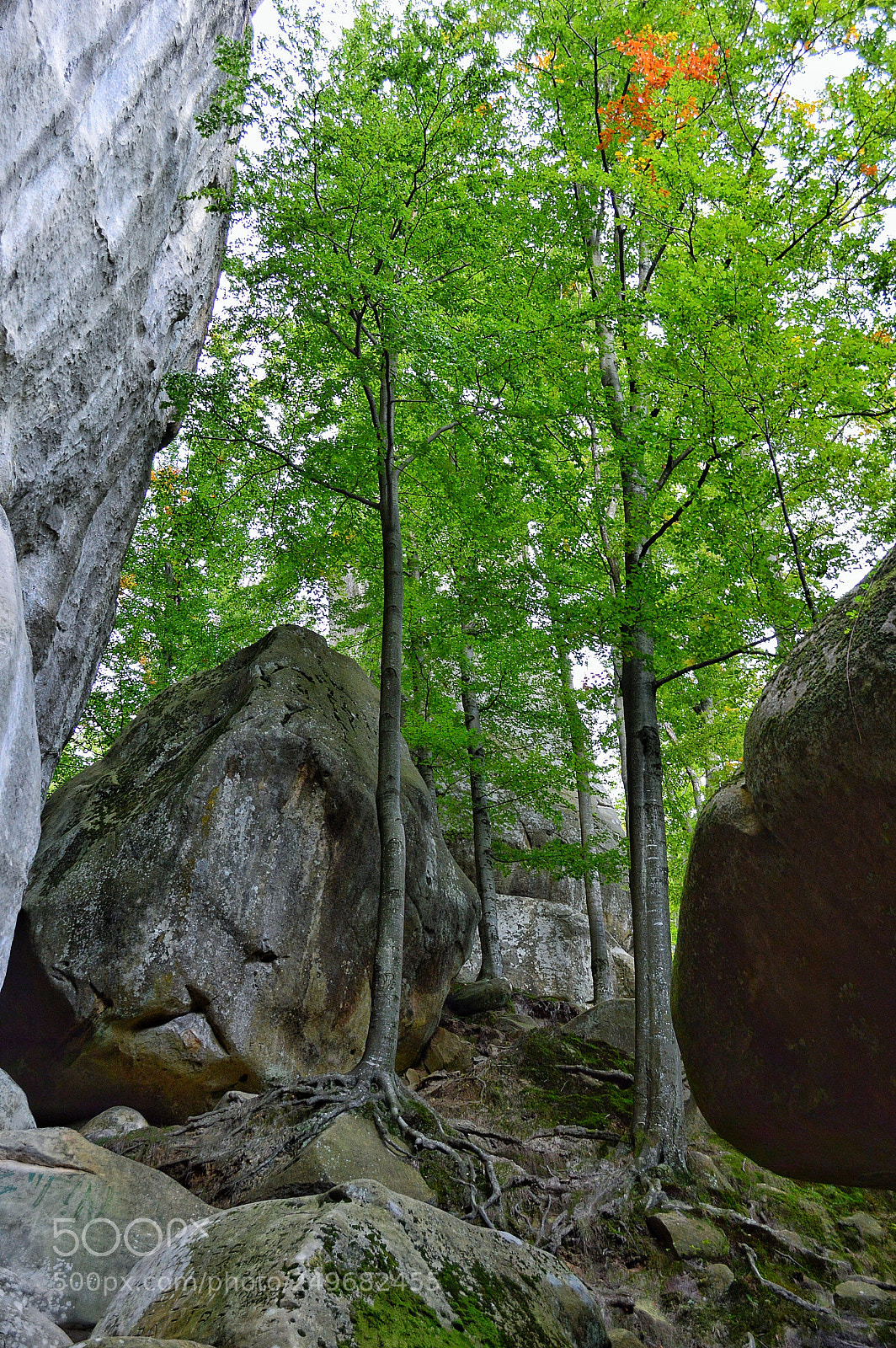 Nikon D3200 sample photo. Untitled photography