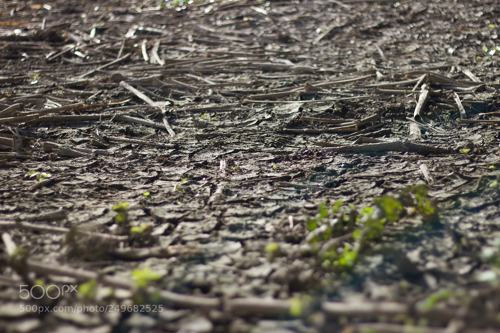 Canon EOS 600D (Rebel EOS T3i / EOS Kiss X5) sample photo. The cracked ground of photography