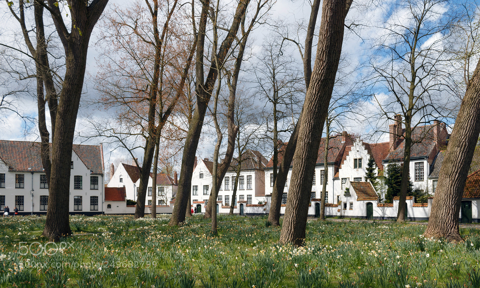 Canon EOS 70D sample photo. Beguinage of bruges photography