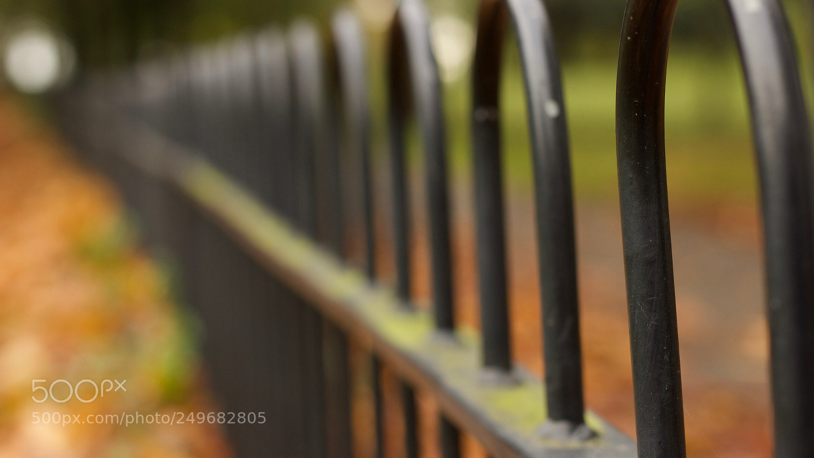 Canon EOS 600D (Rebel EOS T3i / EOS Kiss X5) sample photo. The separation / divide photography