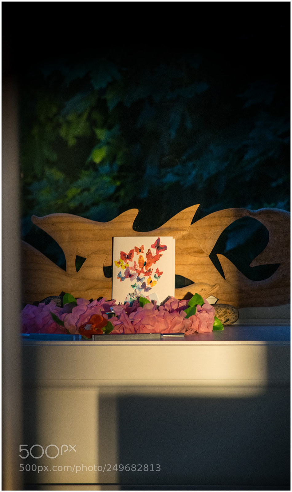 Nikon D3300 sample photo. Peeking into another's world photography