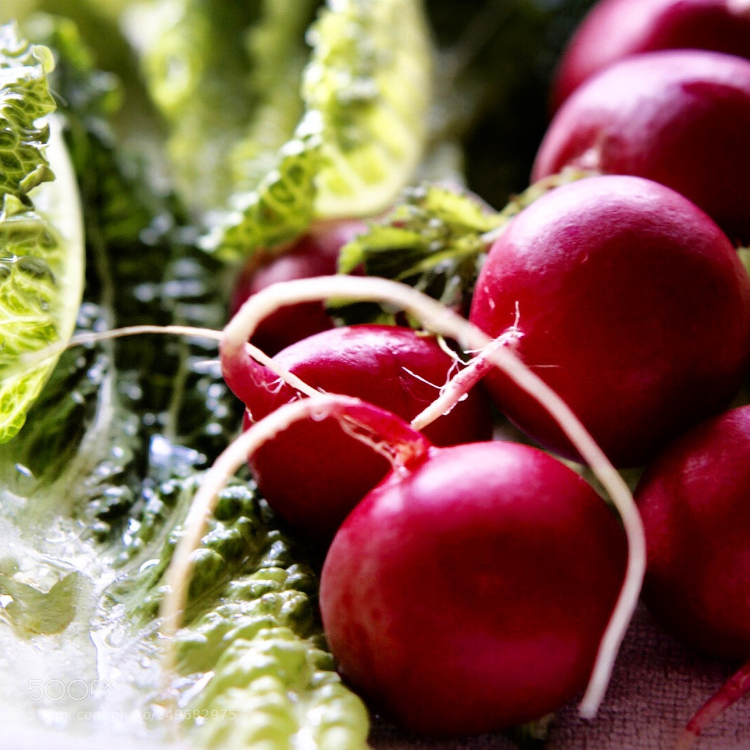 Sony a6000 sample photo. Radish photography