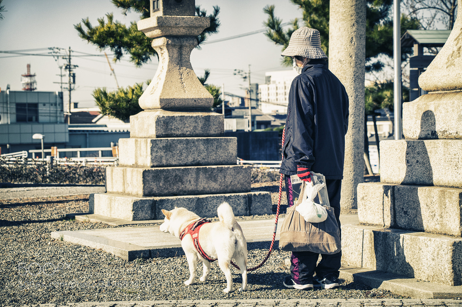 Canon EOS 750D (EOS Rebel T6i / EOS Kiss X8i) sample photo. Img photography