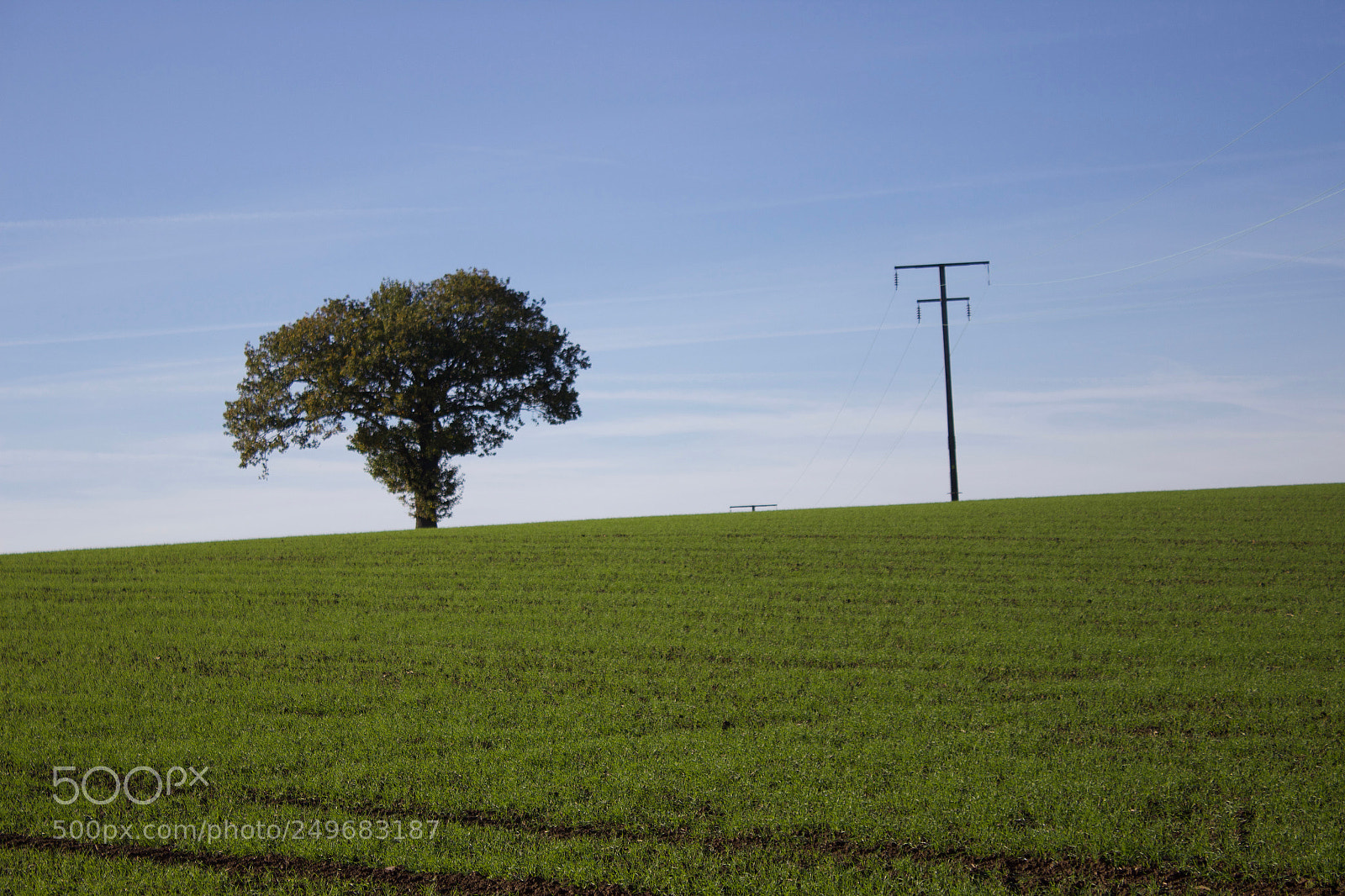 Canon EOS 600D (Rebel EOS T3i / EOS Kiss X5) sample photo. Nature vs technology photography