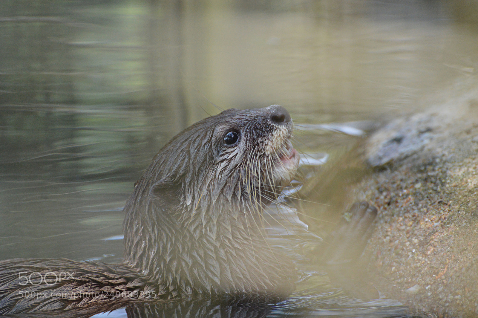 Nikon D3200 sample photo. In the water photography