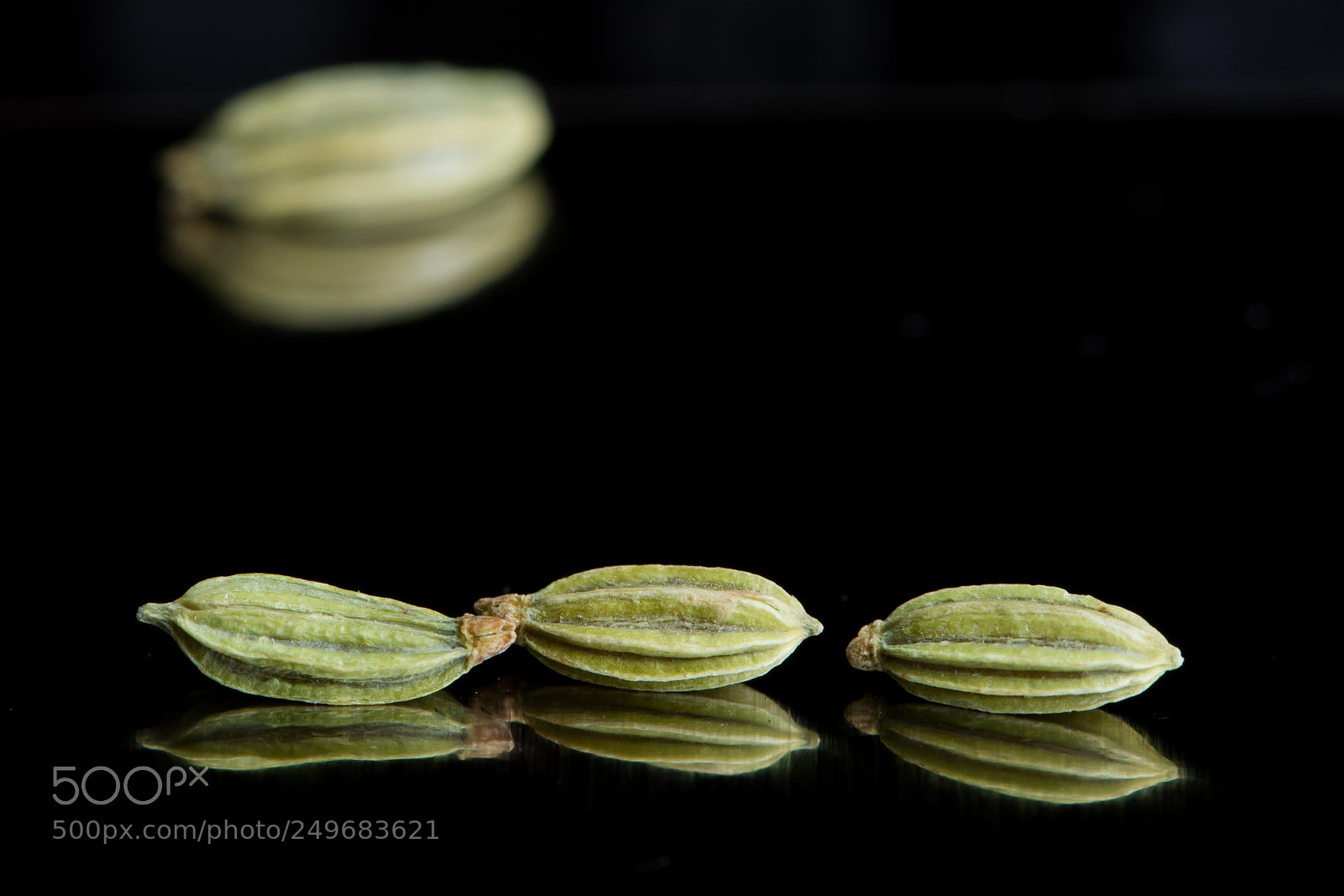 Canon EOS 5D Mark IV sample photo. Fennel seeds photography