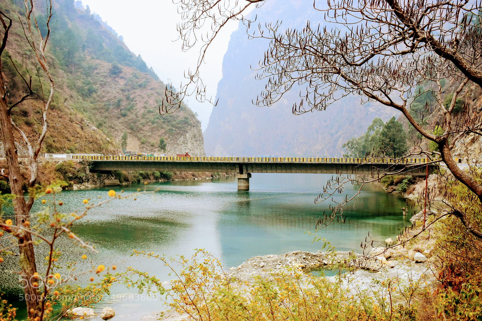 Nikon D5600 sample photo. The bridge photography