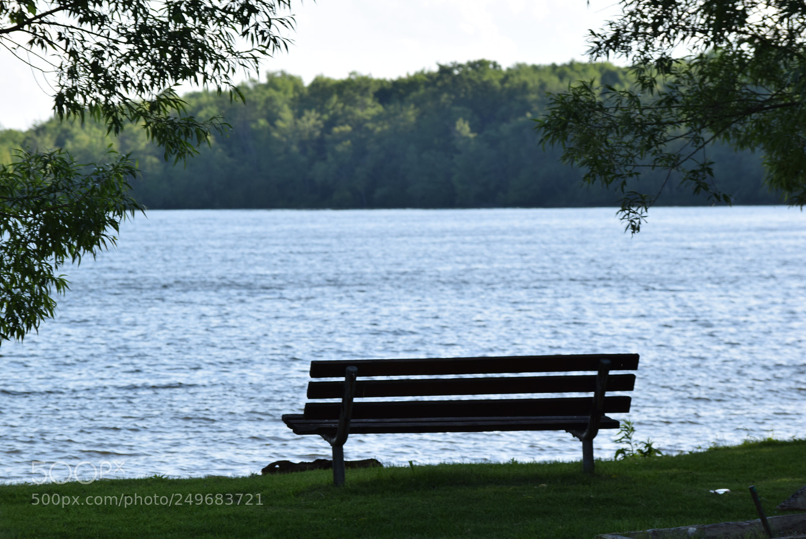 Nikon D3300 sample photo. Sitting on a park photography