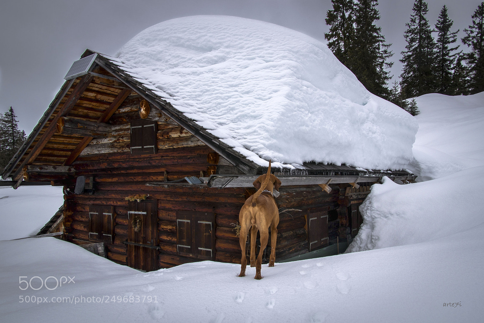 Pentax K-3 sample photo. Snow hut photography