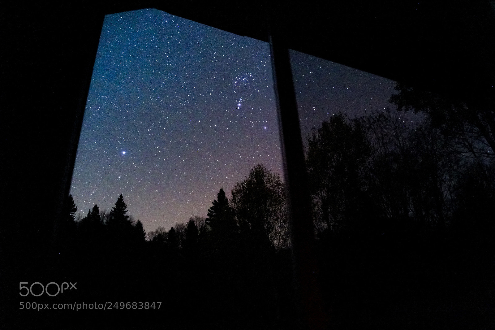 Canon EOS 60D sample photo. Procyon & orion photography