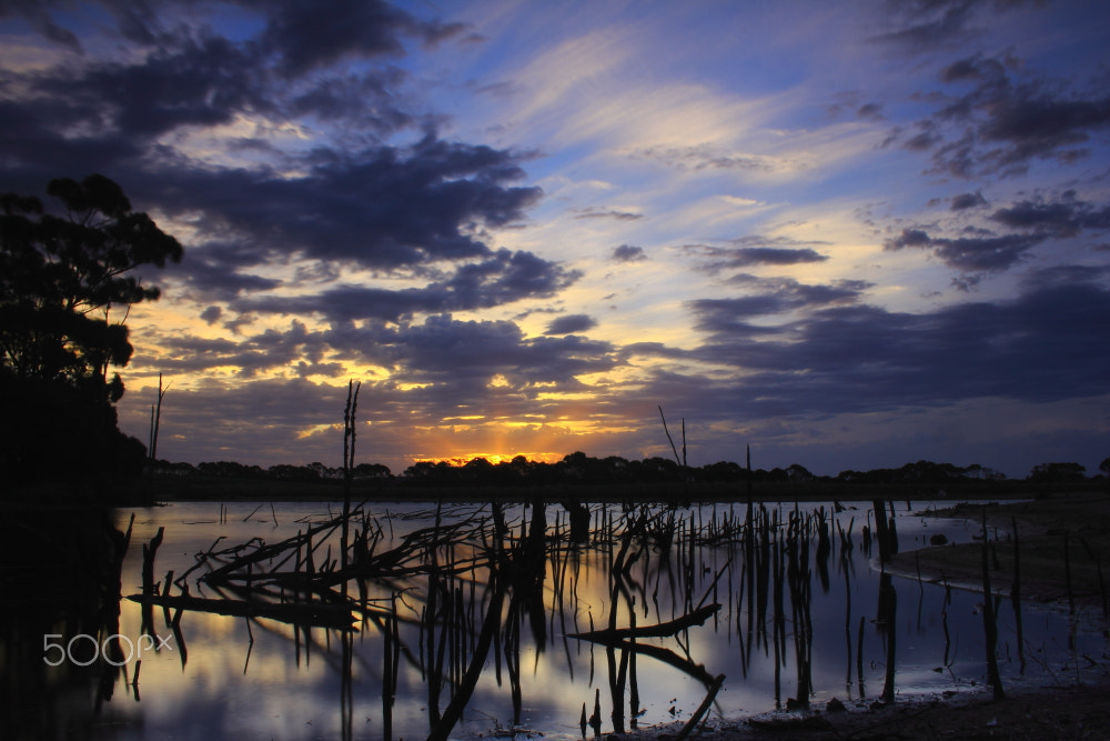 Canon EOS 60D sample photo. Blue dusk on the barcoo photography