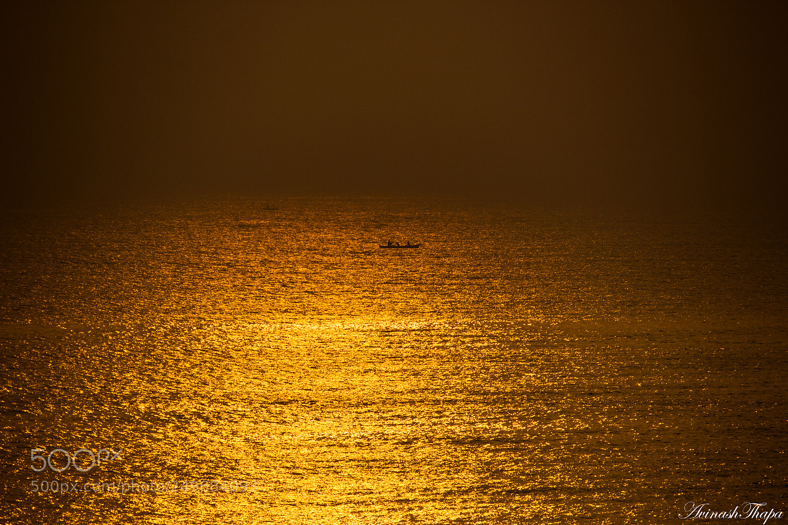 Canon EOS 700D (EOS Rebel T5i / EOS Kiss X7i) sample photo. Tinged in gold photography