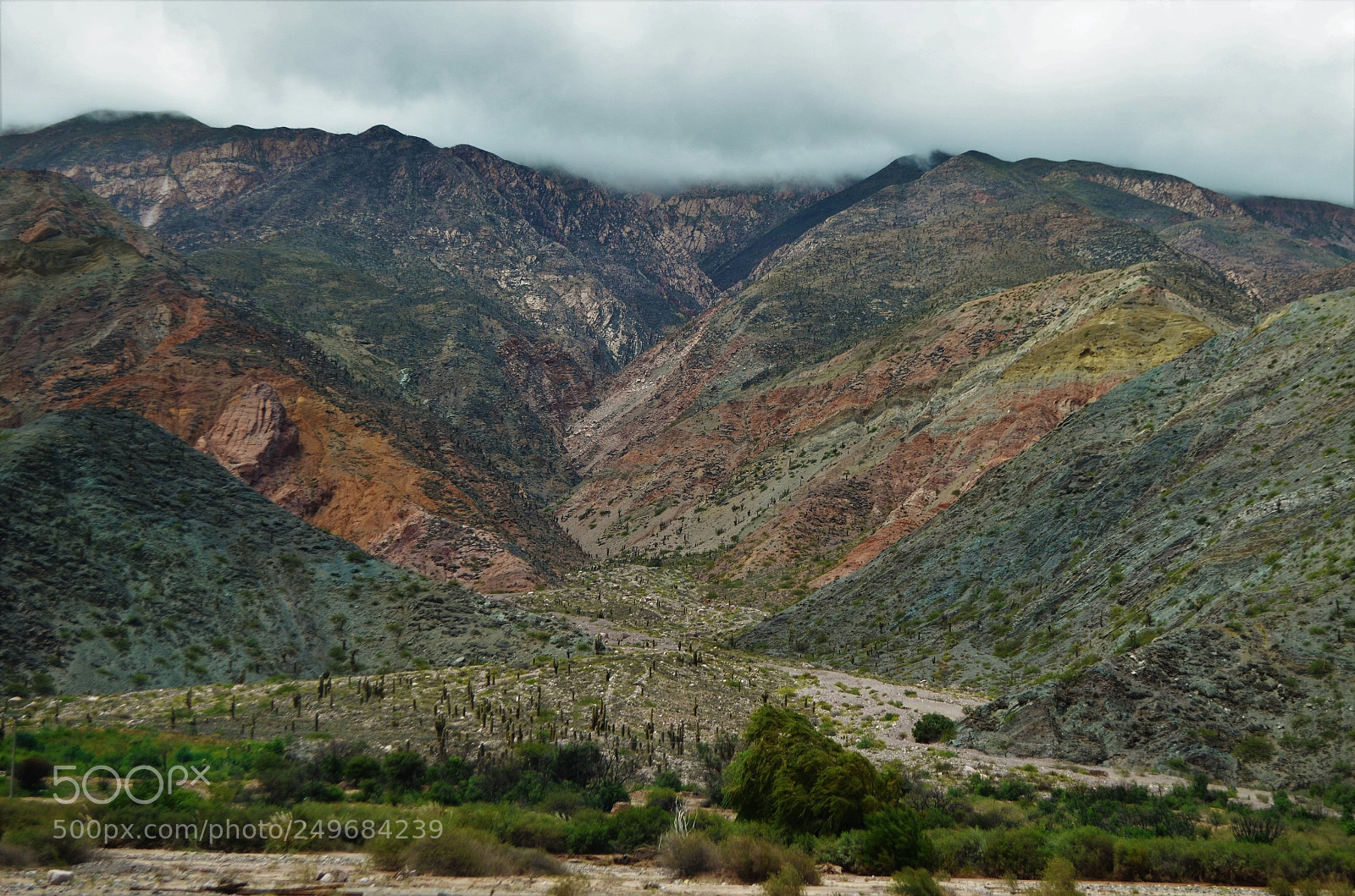 Nikon D5100 sample photo. Untitled photography