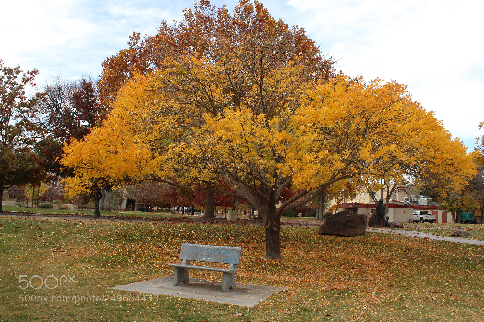 Canon EOS 1300D (EOS Rebel T6 / EOS Kiss X80) sample photo. Autumn photography