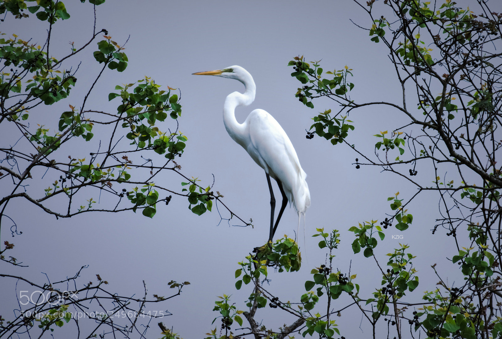 Nikon D3400 sample photo. Balancing act photography