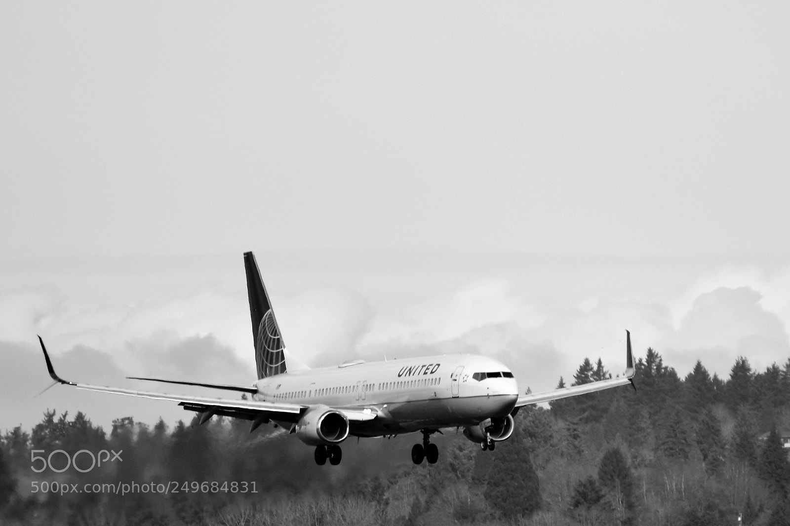Nikon D3400 sample photo. Portland air guard taking photography