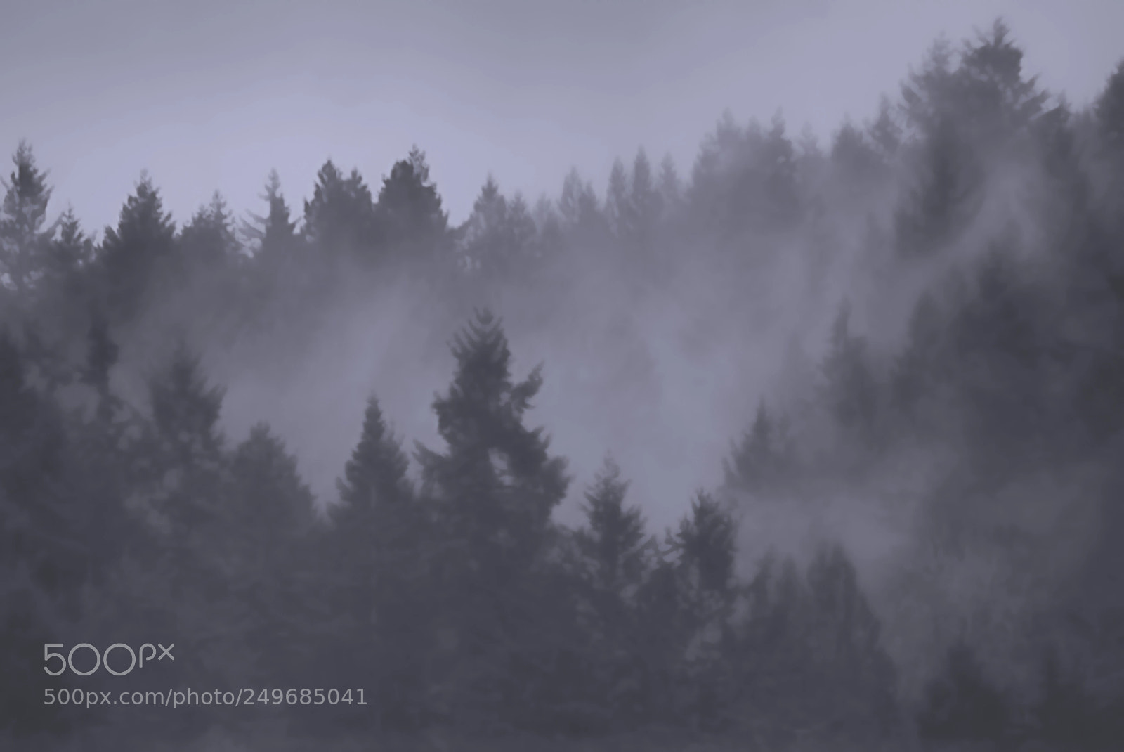 Sony a7R sample photo. Misty night photography
