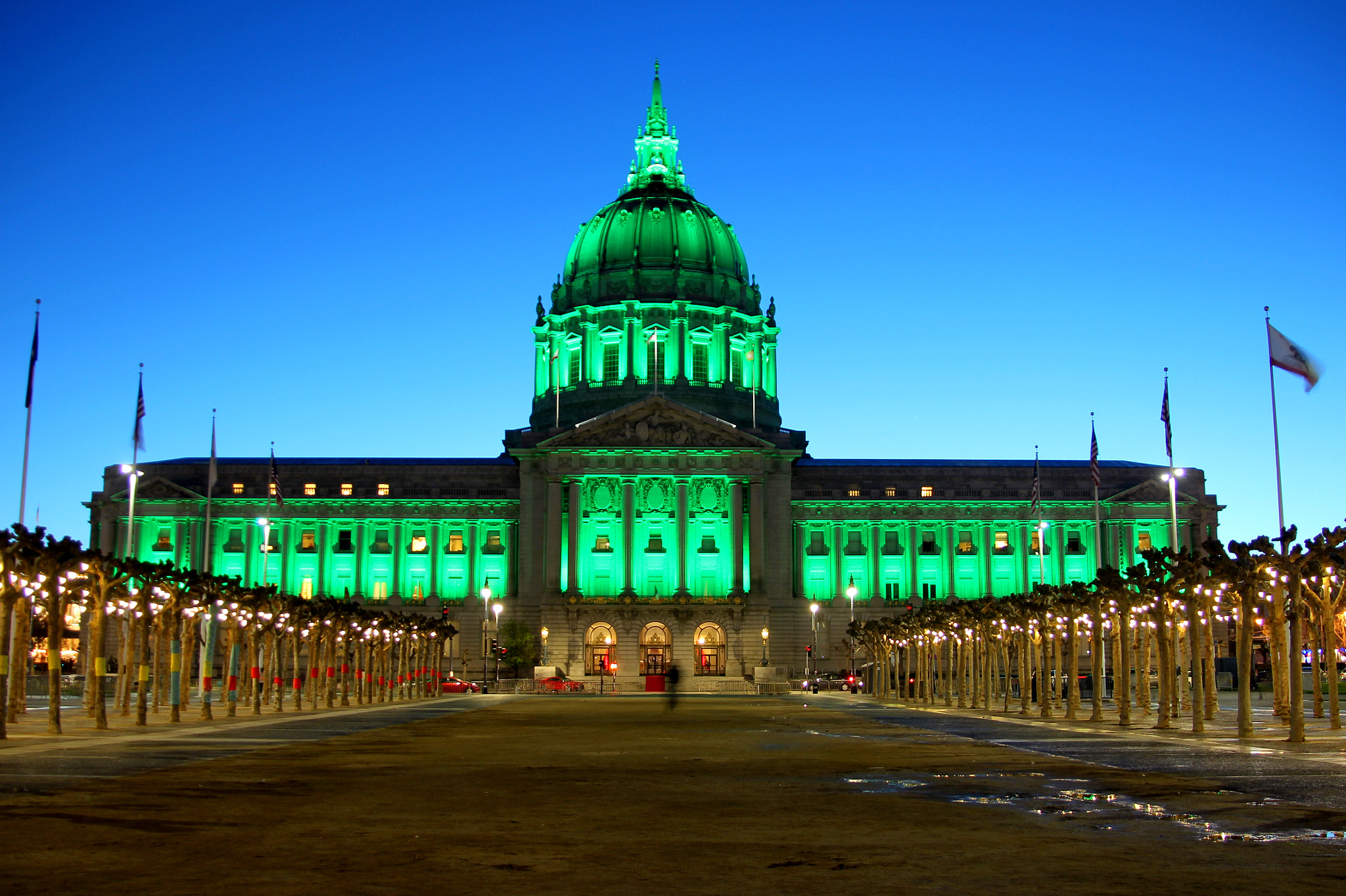 Canon EOS 600D (Rebel EOS T3i / EOS Kiss X5) sample photo. St. patrick's day at city hall photography