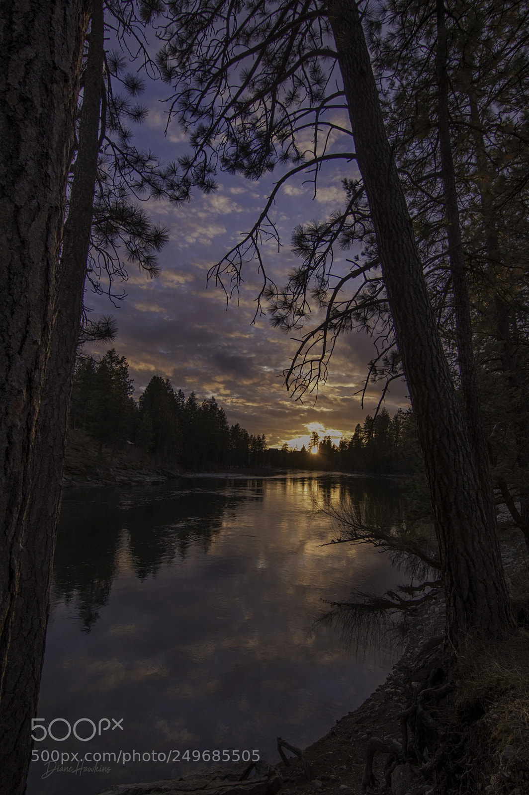 Nikon D3200 sample photo. Sunset between the trees photography
