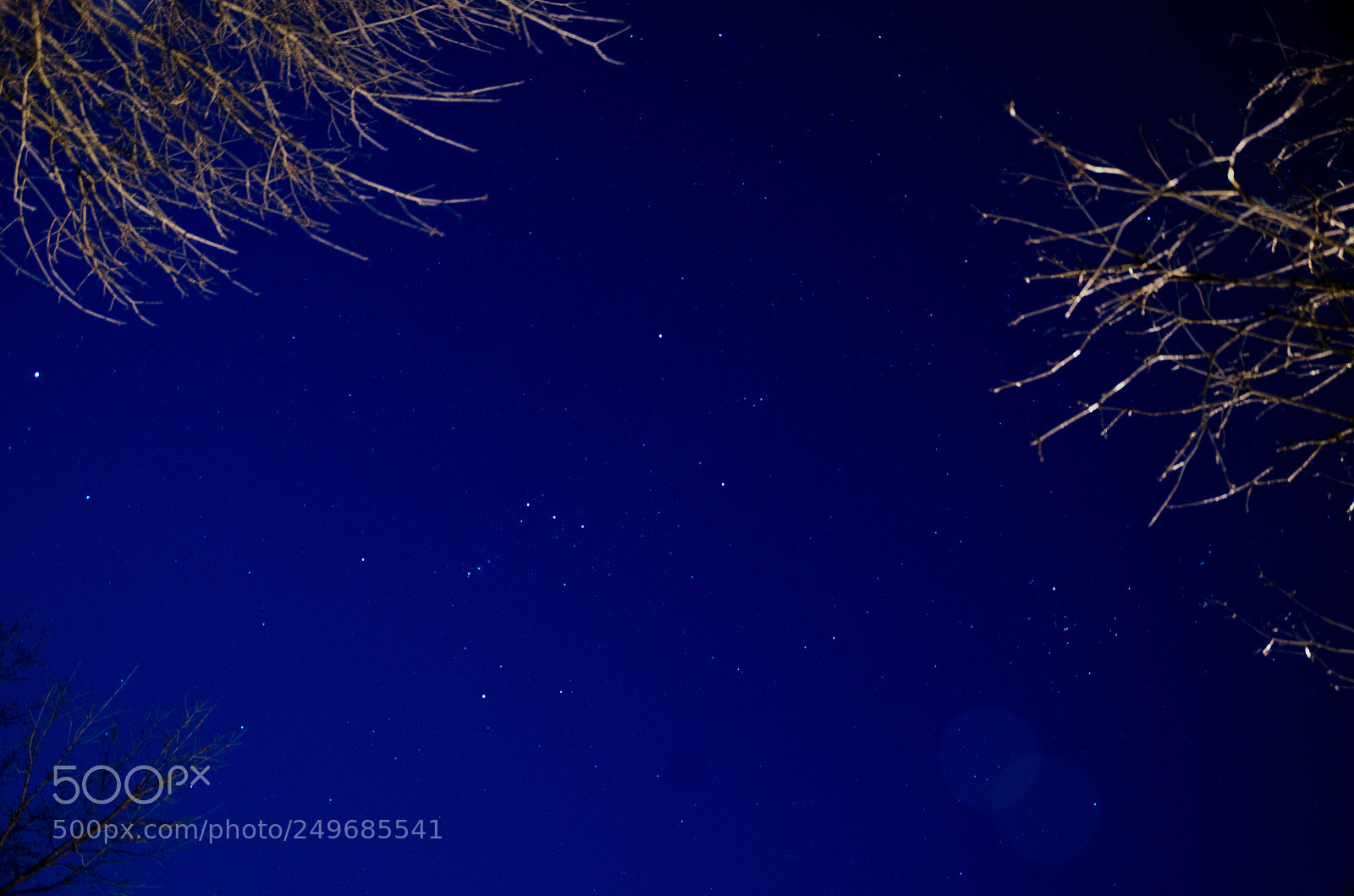 Nikon D7000 sample photo. Orion photography