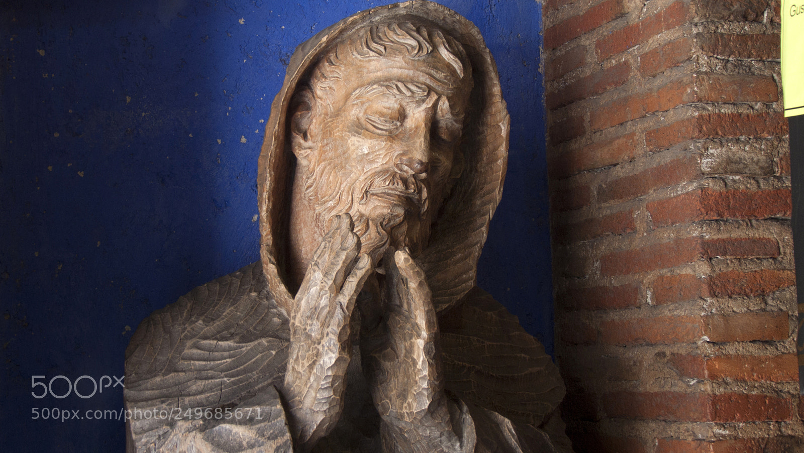 Panasonic Lumix DMC-FZ28 sample photo. Esto me encanto photography