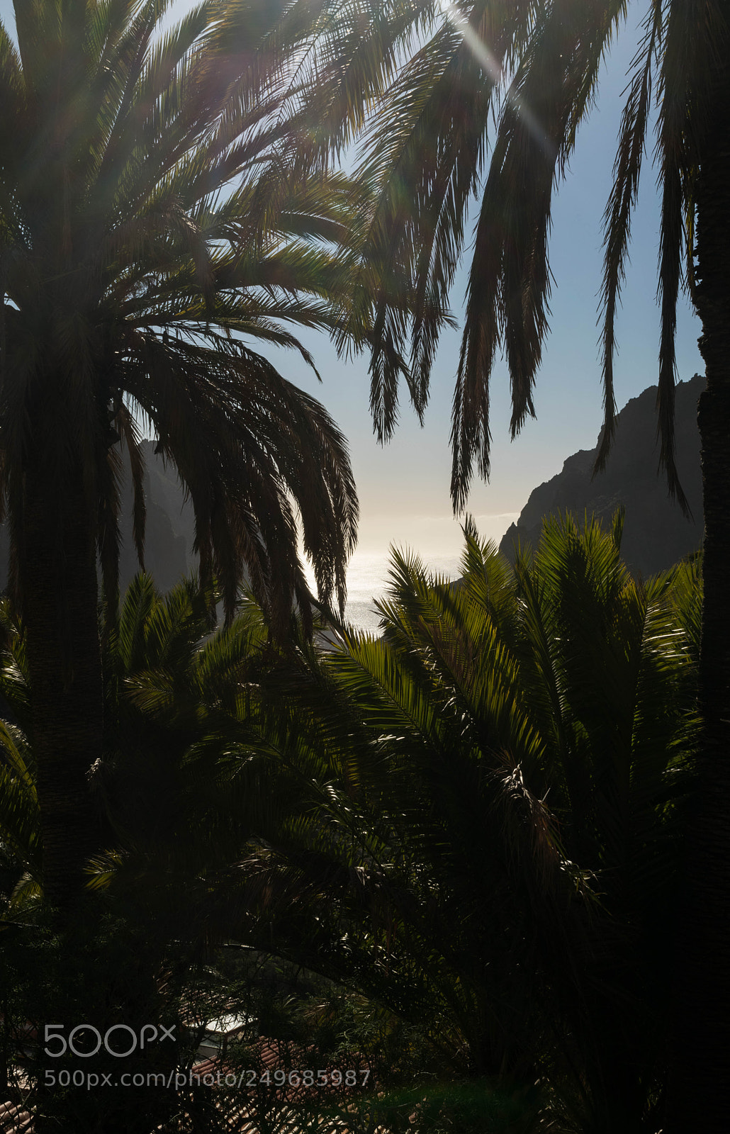 Nikon D3300 sample photo. Another day in paradise photography
