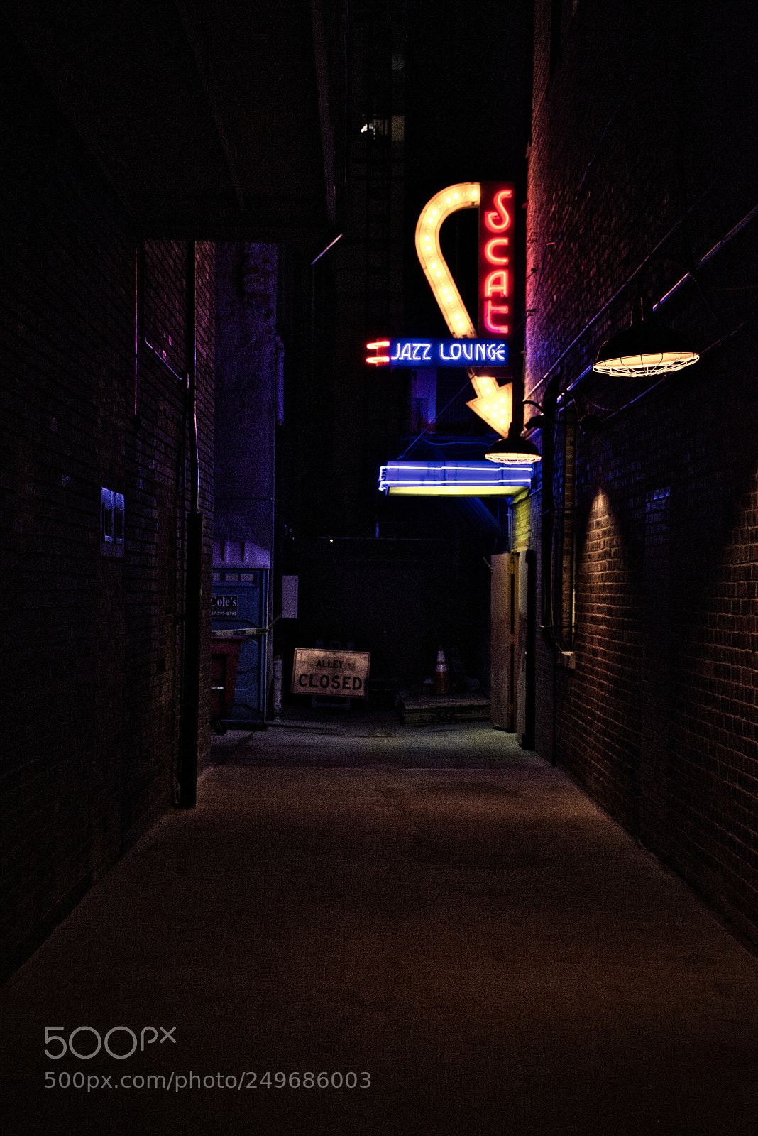 Nikon D7200 sample photo. Scat jazz lounge photography