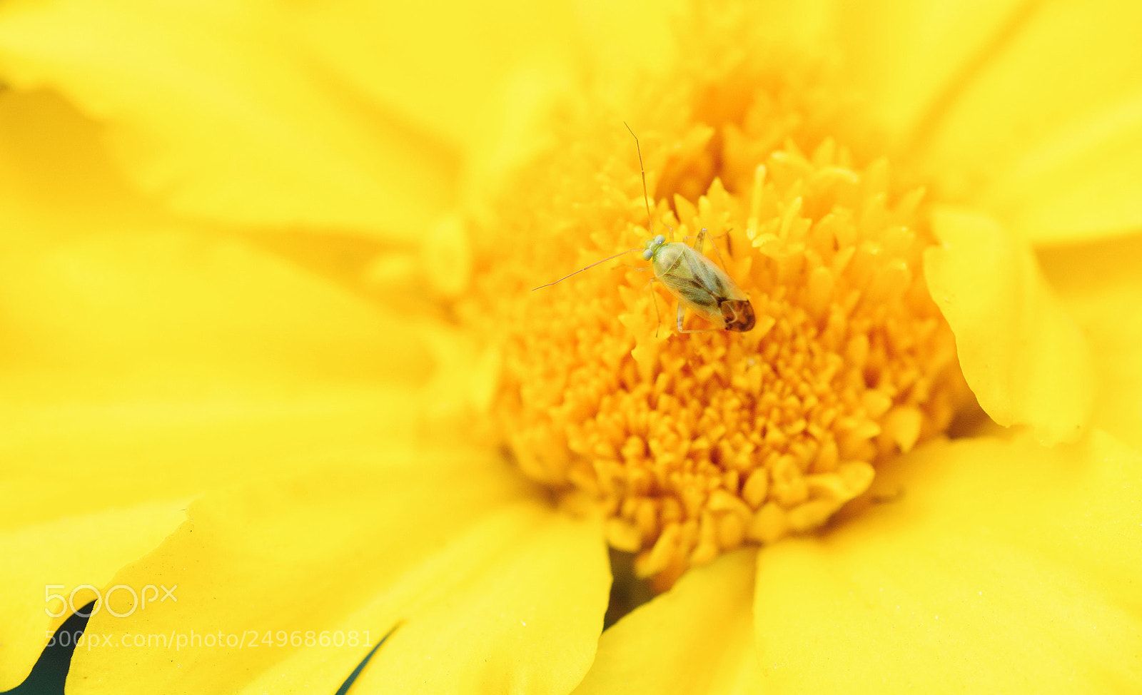 Nikon D7100 sample photo. Cttbchhhth photography