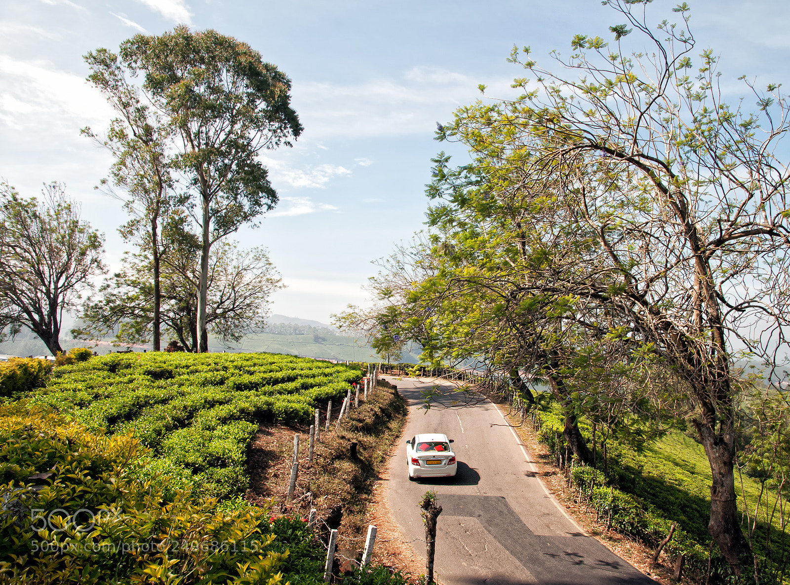 Nikon D300 sample photo. Winding road photography