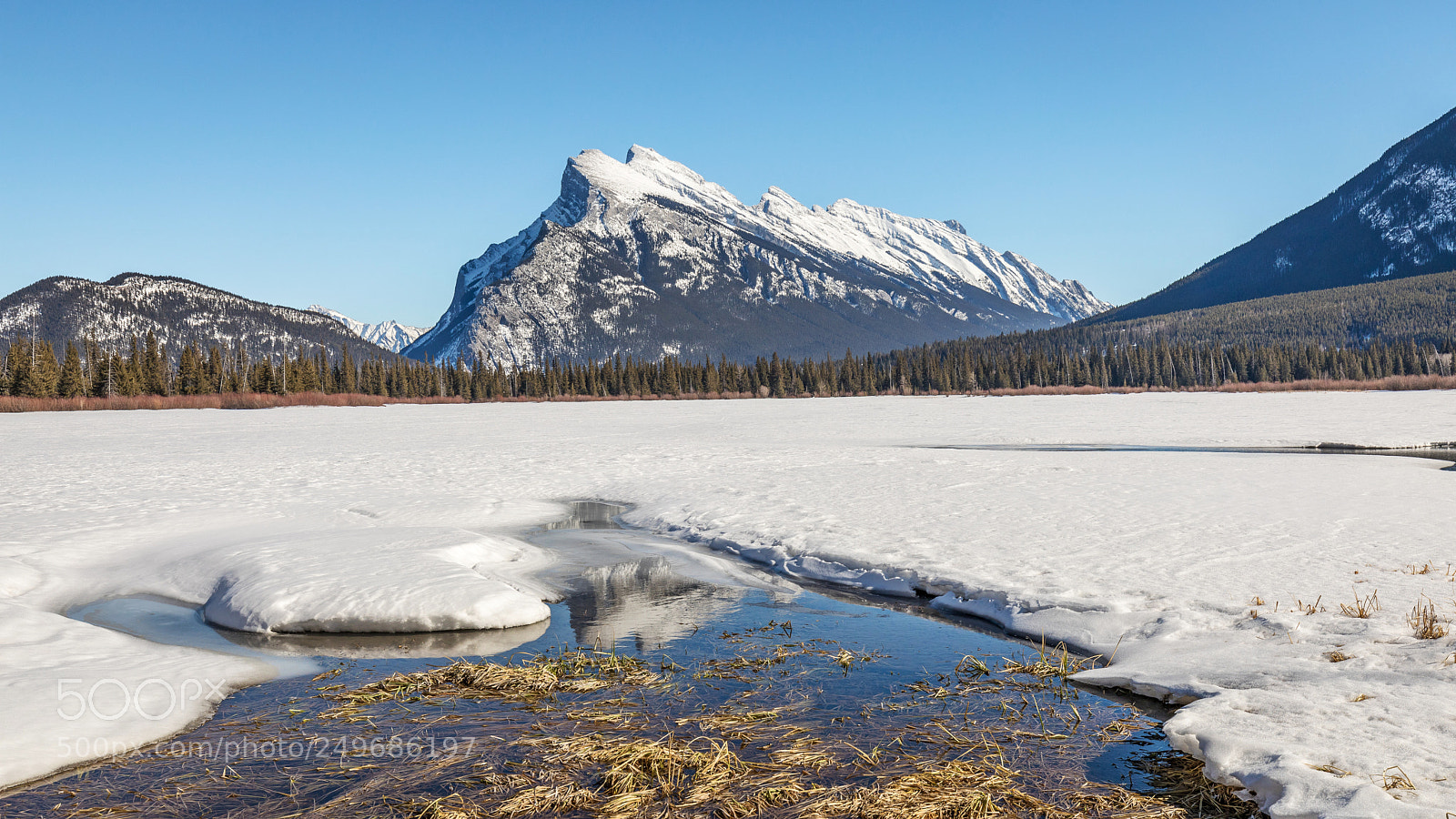 Canon EOS 5D Mark IV sample photo. Mount rundle photography
