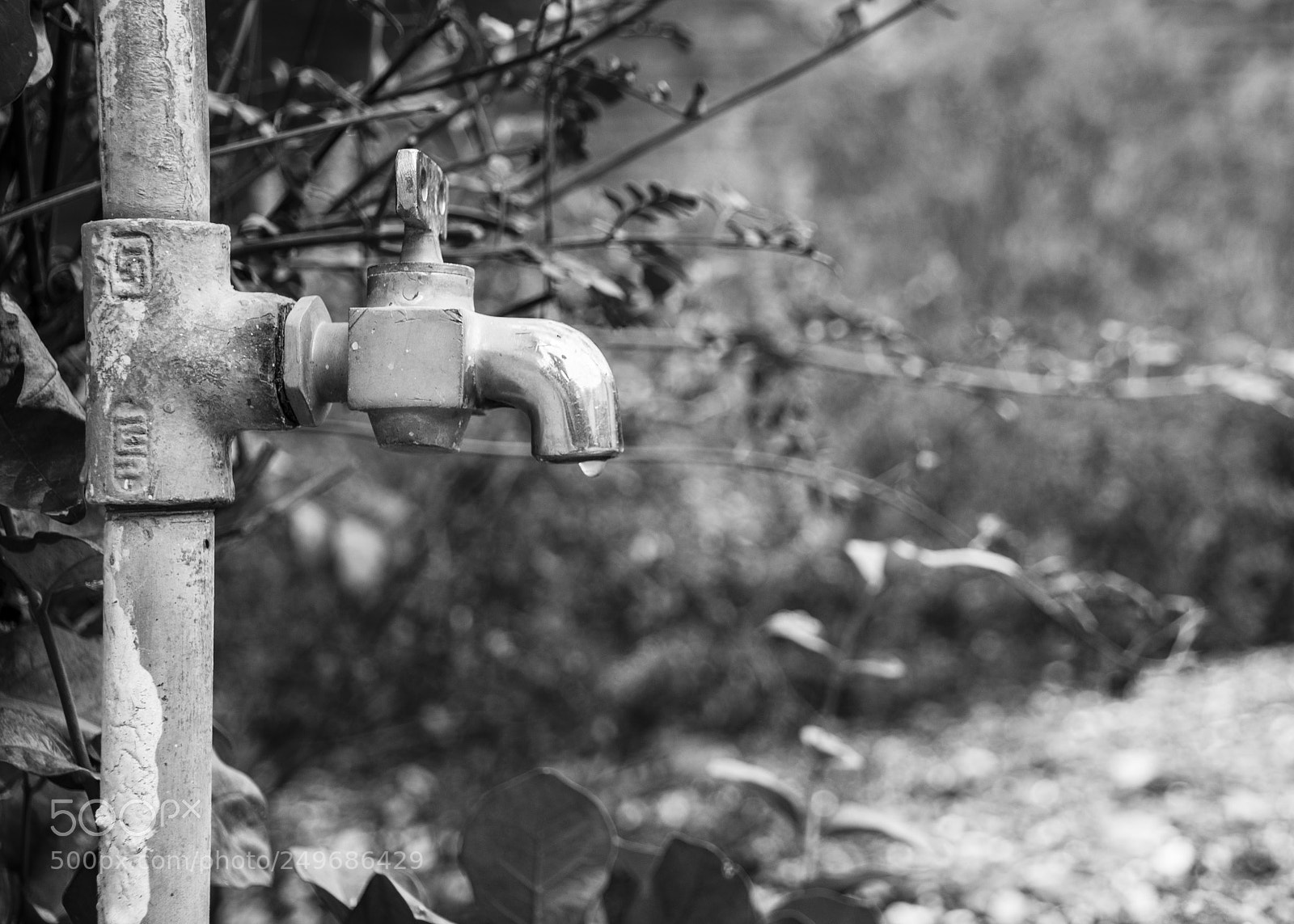 Nikon D5300 sample photo. Save water photography
