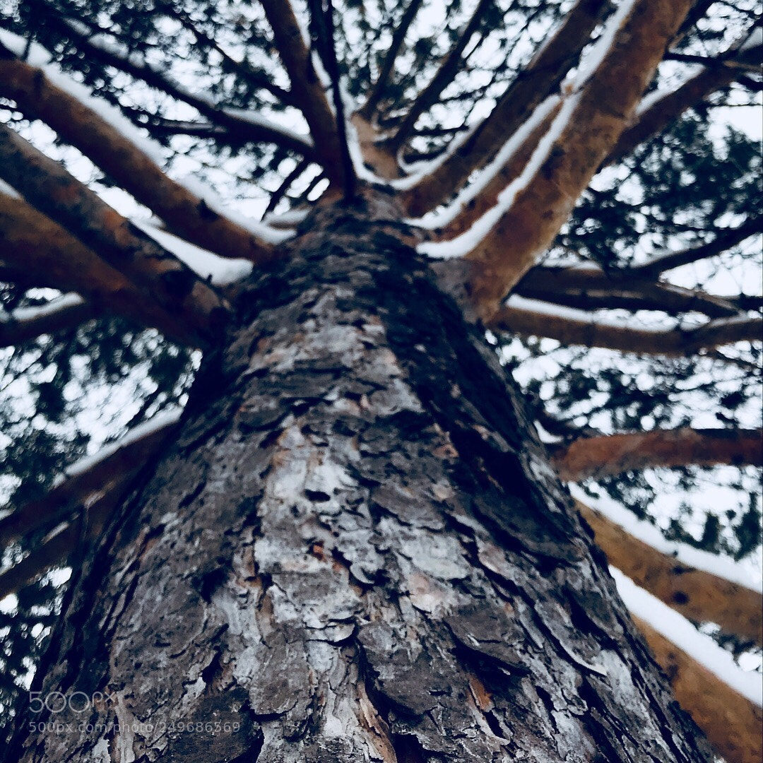 Apple iPhone 7 sample photo. Freeze photography