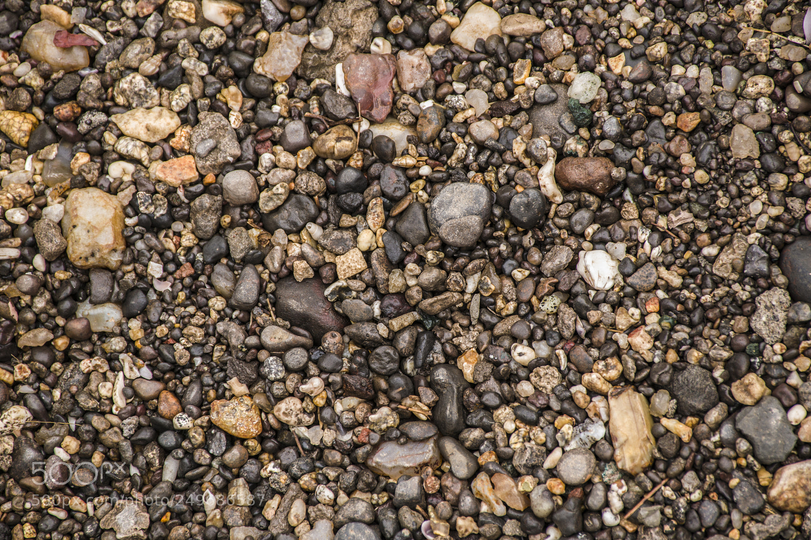 Nikon D5300 sample photo. Pebbles photography