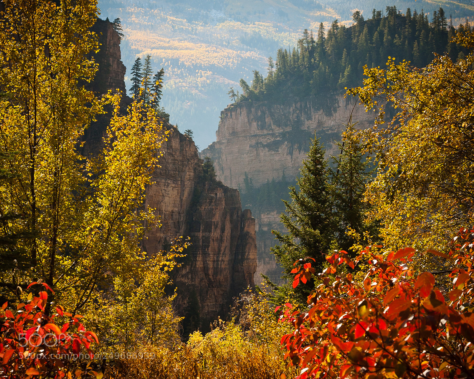 Canon EOS 5D sample photo. Autumn's colors photography