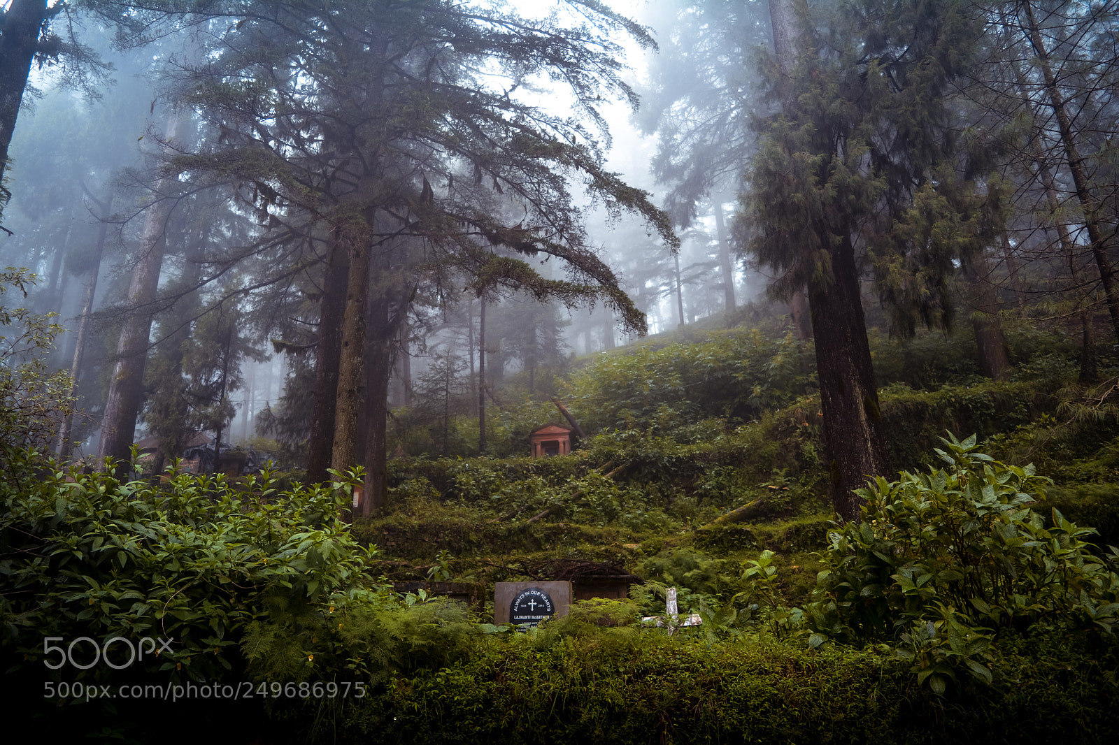 Nikon D5200 sample photo. Landour cemetery photography