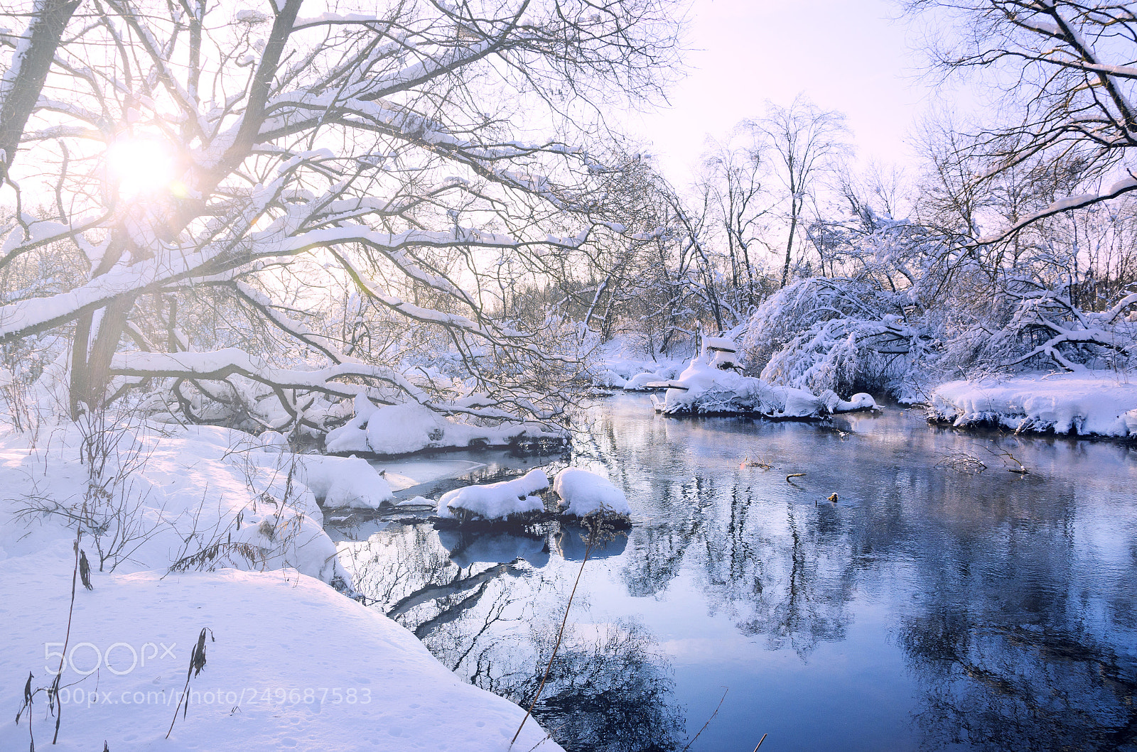 Nikon D5100 sample photo. Frosty morning photography