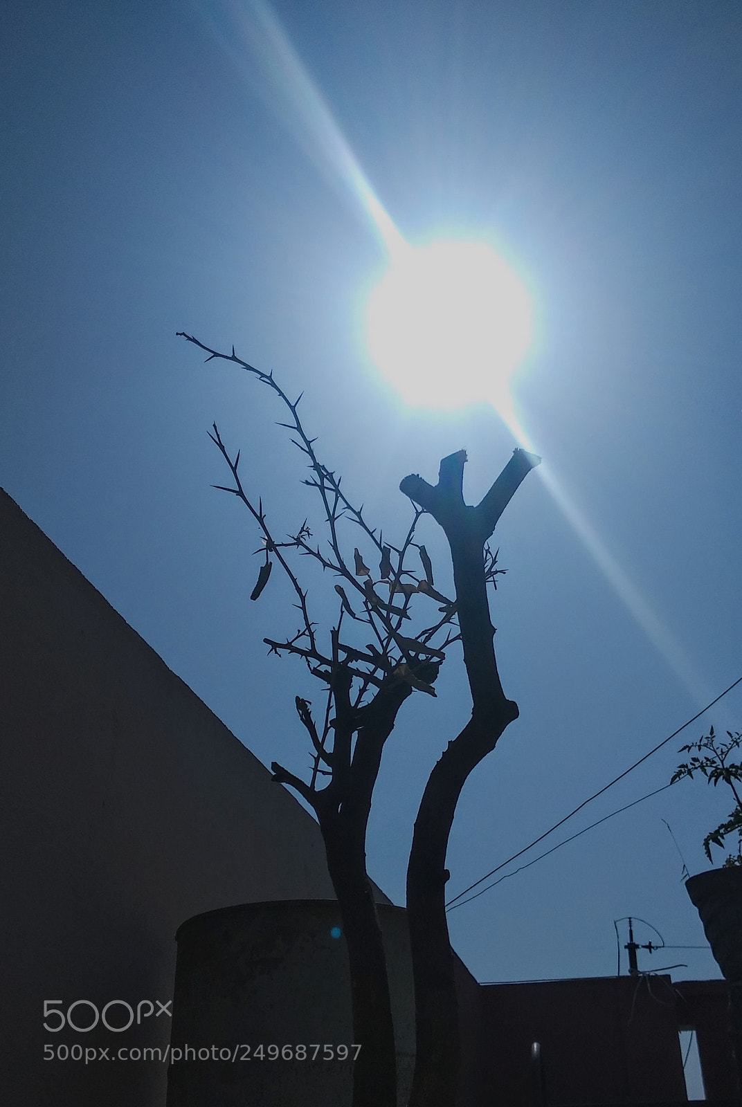 Xiaomi Mi A1 sample photo. In the sun photography