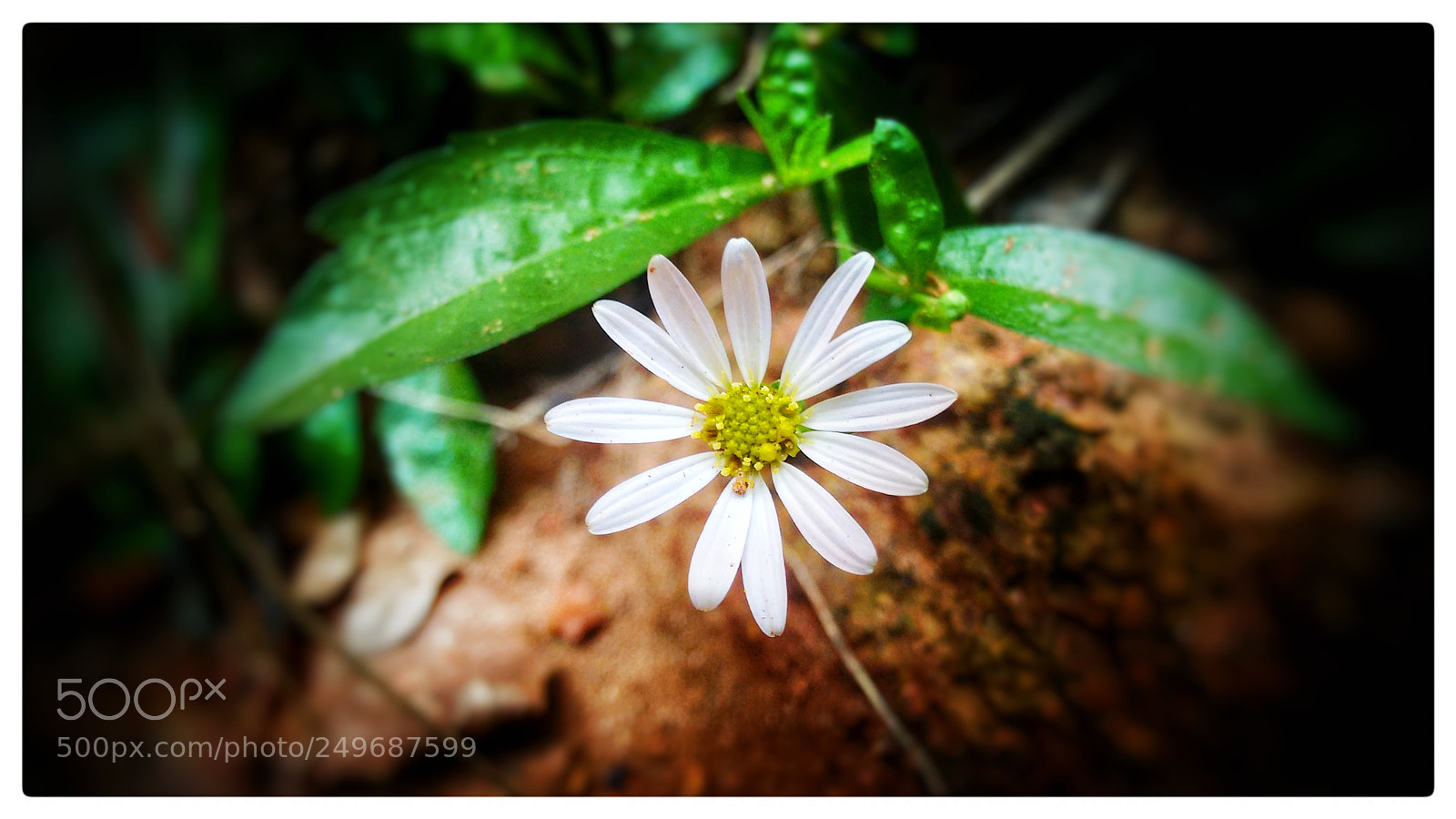Motorola Moto G (2nd Gen) sample photo. Untitled photography